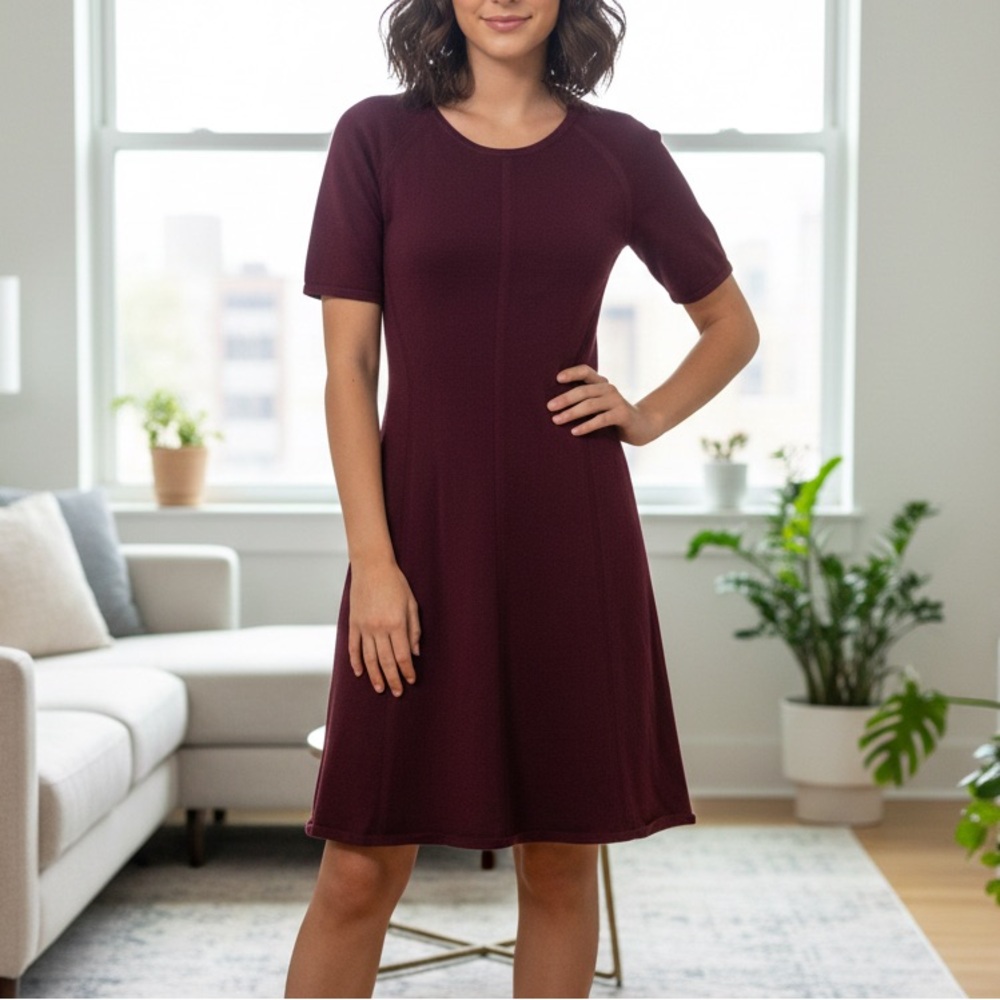 Babaton Burgundy Dress